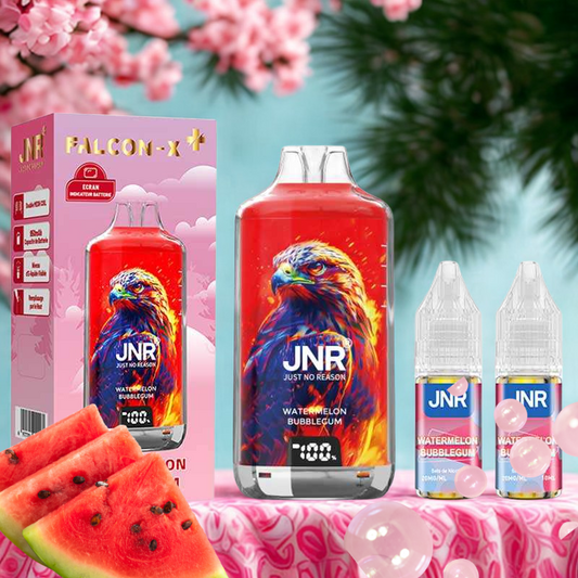 JNR à l'unité + 2 goûts Watermelon Bubblegum